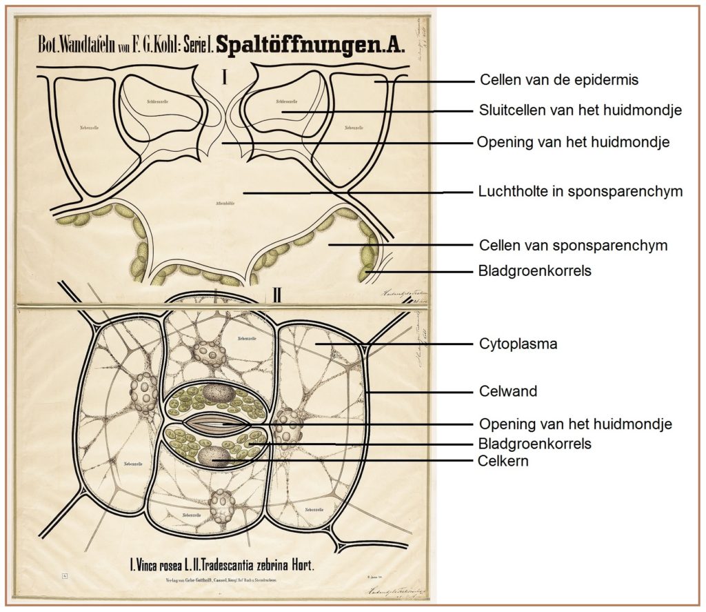 download einflußflächen